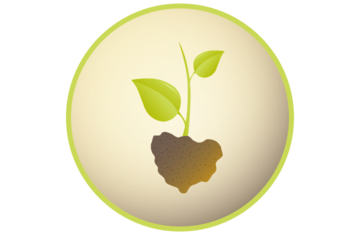 rundes Symbolbild: ein grünes Pflänzchen wächst aus brauner Erde vor hellgrünem Hintergrund